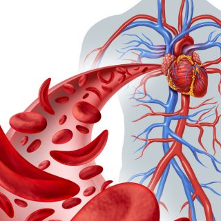Regola la pressione sanguigna