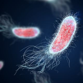 Riduce il rischio di gravi malattie